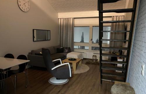 Syote Apartment | Peipon pesä
