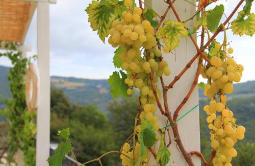 Spello House | Pekko