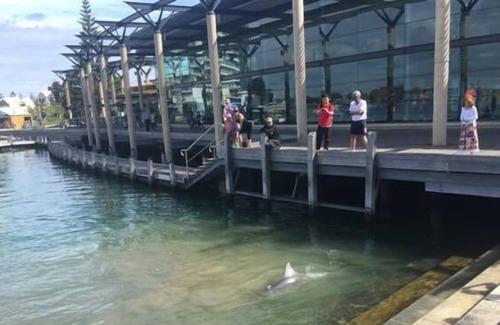 Mandurah Apartment | Pelican 2 Bedroom 2 bathroom Apartment