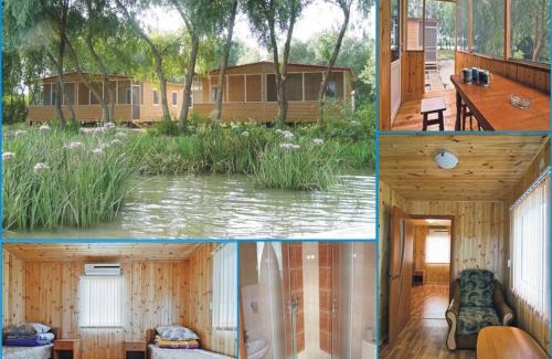 Odessa Oblast Other | Pelican City