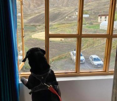 Spiti House | Pema's Cottage Chicham Kaza
