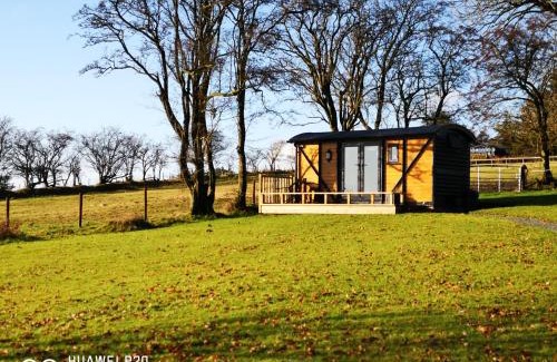 Tirabad House | Pen-Rhos luxury glamping "Cuckoo's Nest"