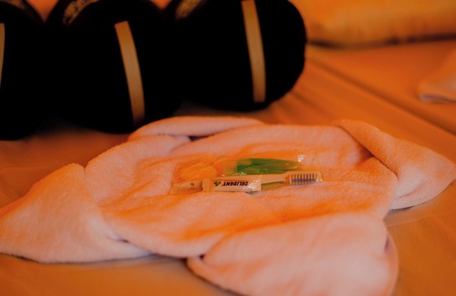 Bandung Hotel | Penginapan Alam DGlorious CraterKamojang