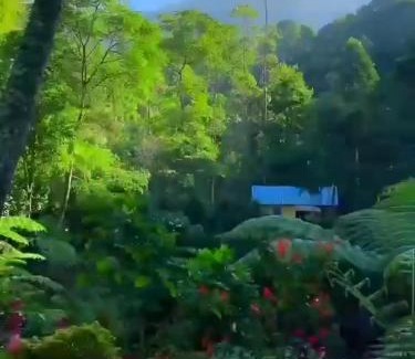 Pangalengan Resort | Penginapan nuansa Riung gunung