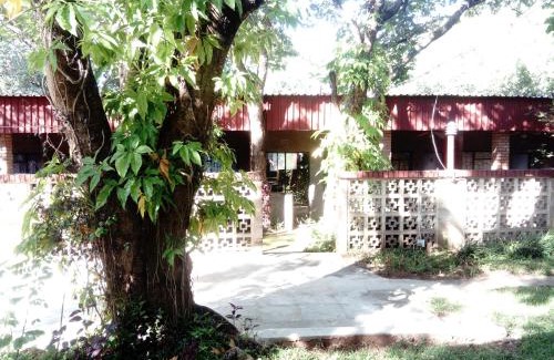 Victoria Falls Cabin | Pennywise Cottages