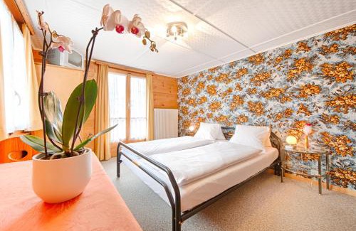 Graechen House | Pension Aaron am See