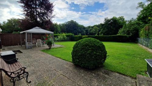 Ringelheim Apartment | Pension am Schloss