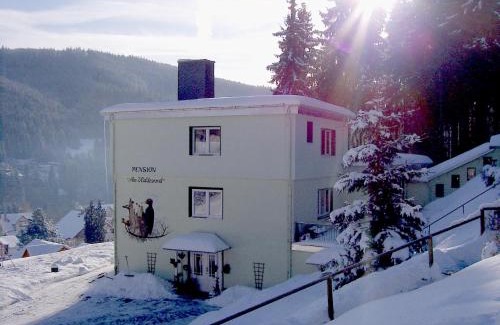 Manebach House | Pension Am Waldesrand