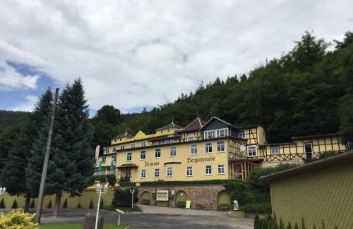 Sitzendorf House | Pension Bergterrasse
