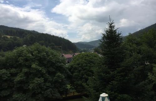 Sitzendorf House | Pension Bergterrasse