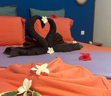 Rangiroa Bed & Breakfast | Pension Bounty Rangiroa - Art Gallery & Tropical Garden