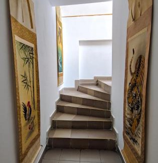 Centrul Nou House | Pension Casa Samurai