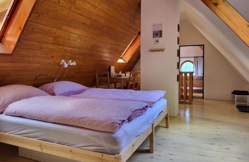 Karlovy Vary House | Pension Family
