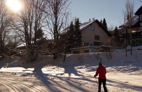 Stryck House | Pension Ferienwohnungen Rosenschlösschen