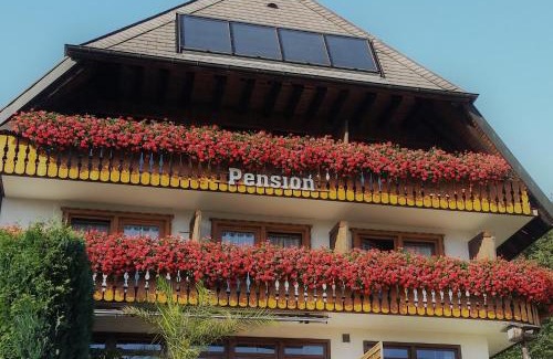 Schonach im Schwarzwald House | Pension Florianhof