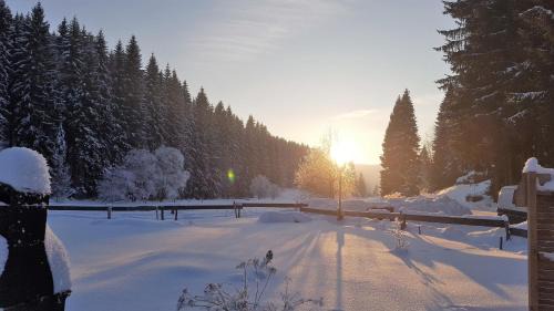 Stutzerbach House | Pension & Gasthof "Am Park" UG
