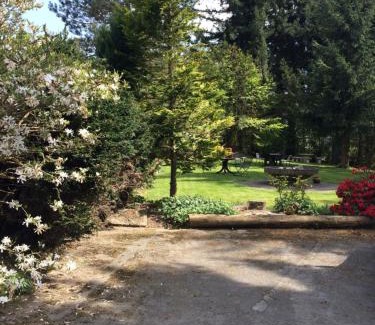Ortsmitte House | Pension Haus Am Hirschsprung