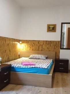 Neckarau House | Pension Haus Baron 1 Neckarau