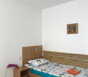 Neckarau House | Pension Haus Baron 1 Neckarau