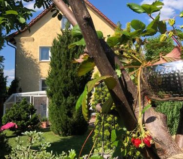 Weissensee House | Pension Haus Bielke