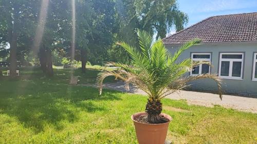 Gotha House | Pension HoPeLa