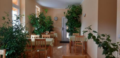 Naundorf House | Pension Lehmann