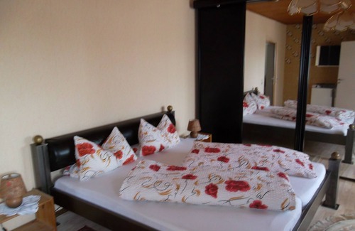 Schwetzingen Hotel | Pension Mainzer Rad