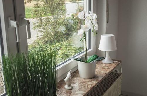 Hahnlein Apartment | Pension Nickel Ferienwohnung EG Am Holzlachgraben