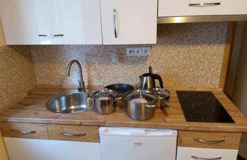 Harrachov House | Pension Rieger