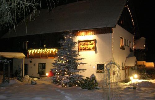 Zelezna Ruda House | Pension Roklan
