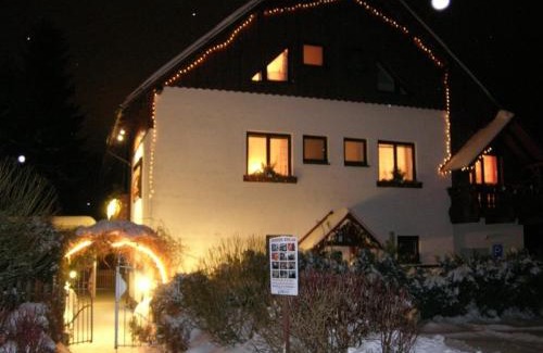Zelezna Ruda House | Pension Roklan