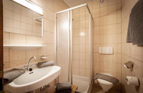 Oberau Apartment | Pension Schneerose - Wildschönau - PREMIUM CARD im Sommer