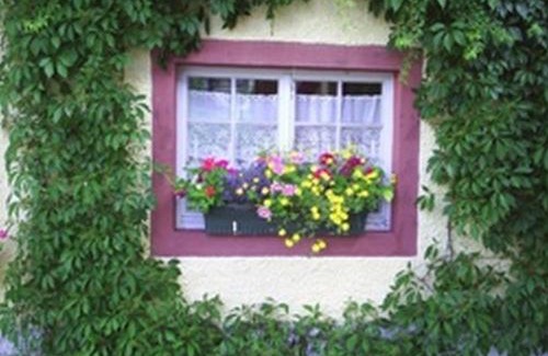 Hottingen House | Pension Sonne