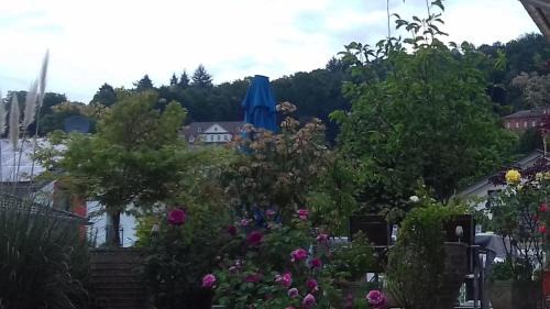 Lahr Apartment | Pension Temizdemir