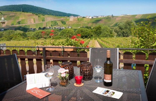 Brauneberg House | Pension und Weingut Moselblick