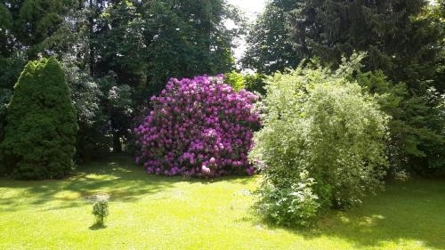 Bad Steben House | Pension Wölfel