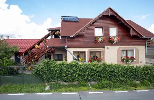 Sincraiu House | Pensiune Saroklak