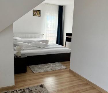 Zarnesti House | Pensiunea Aliart