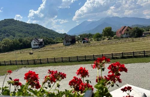 Rasnov House | Pensiunea Bergtal
