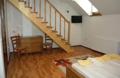 Center House | Pensiunea Buon Gusto Sibiu-motorcyle friendly,city center
