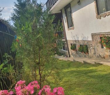 Bran House | Pensiunea CAPRA CU TREI IEZI