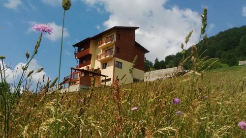 Fundata House | Pensiunea Daria