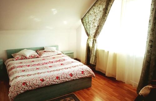 Recea House | PENSIUNEA Daria