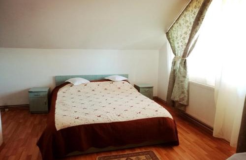 Recea House | PENSIUNEA Daria
