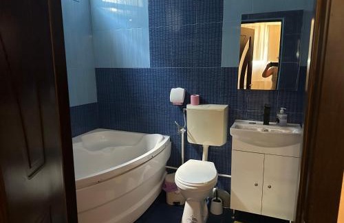 Craiova House | Pensiunea exotic