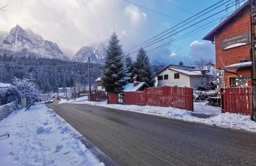 Busteni Bed & Breakfast | Pensiunea Fara Nume