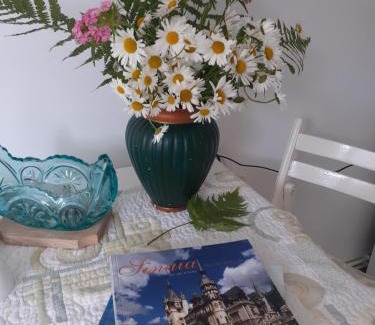 Sinaia House | Pensiunea Floare de Colt