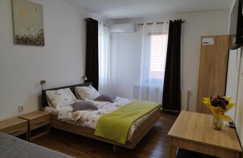 Viile Satu Mare House | Pensiunea Florilor Satu Mare