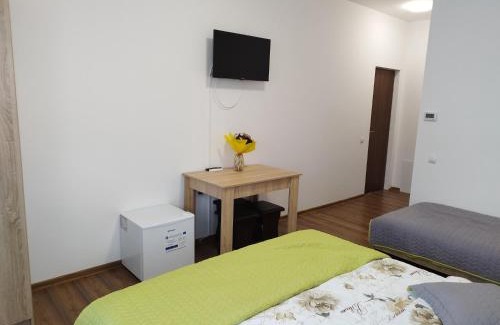 Viile Satu Mare House | Pensiunea Florilor Satu Mare