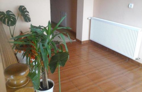 Sieu House | Pensiunea Georgiana